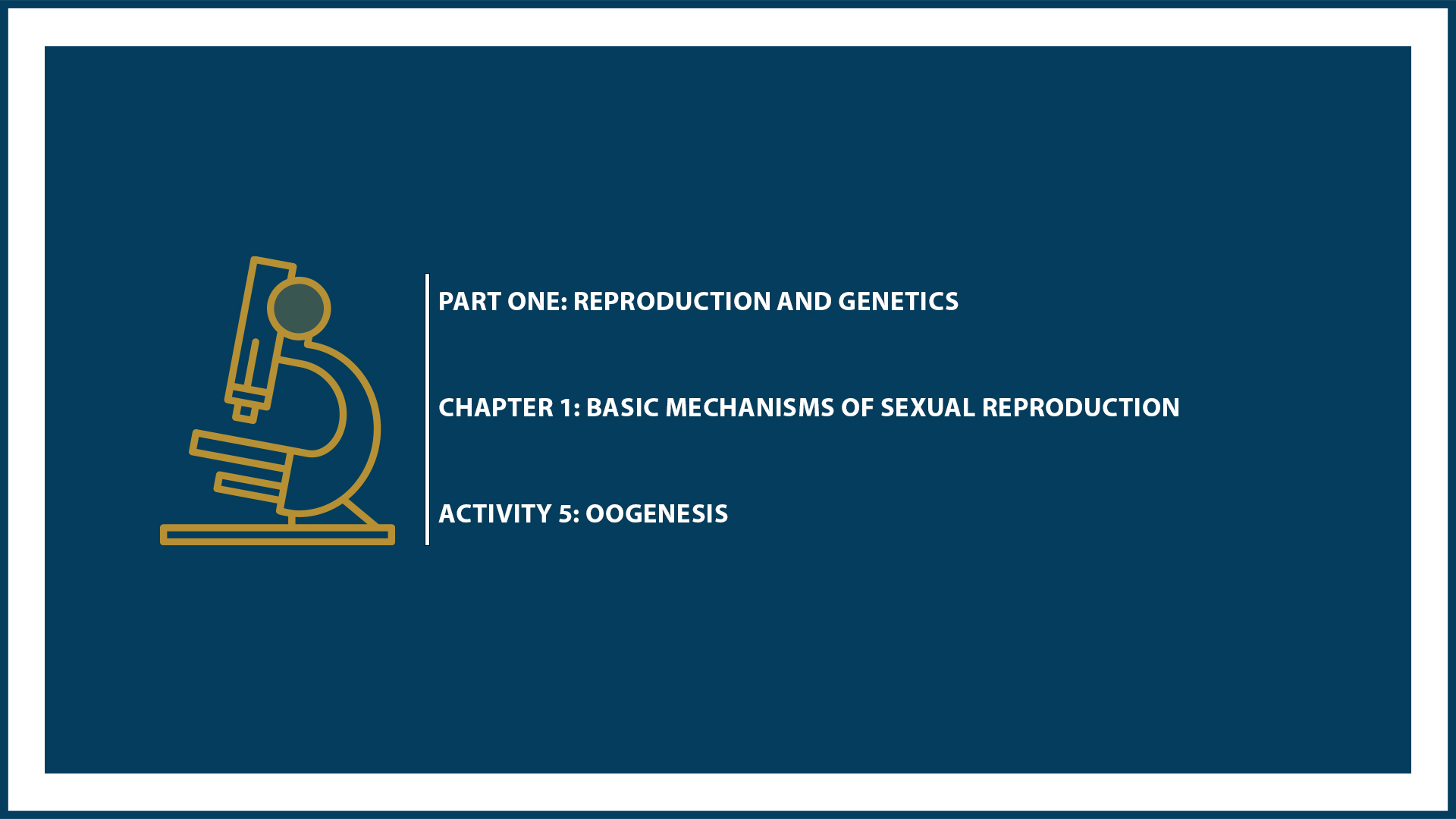 Unit One: Chapter 1 - Document 5: Oogenesis